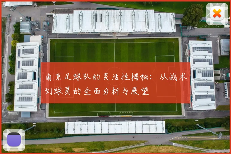 南京足球队的灵活性揭秘：从战术到球员的全面分析与展望