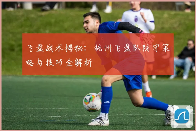 飞盘战术揭秘：杭州飞盘队防守策略与技巧全解析