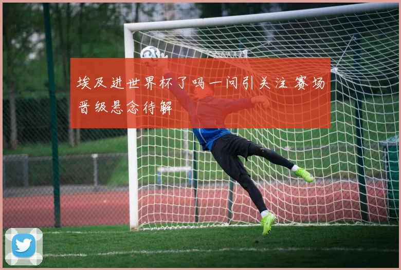 埃及进世界杯了吗一问引关注 赛场晋级悬念待解