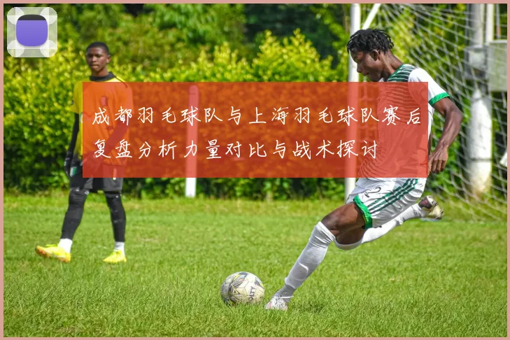 成都羽毛球队与上海羽毛球队赛后复盘分析力量对比与战术探讨