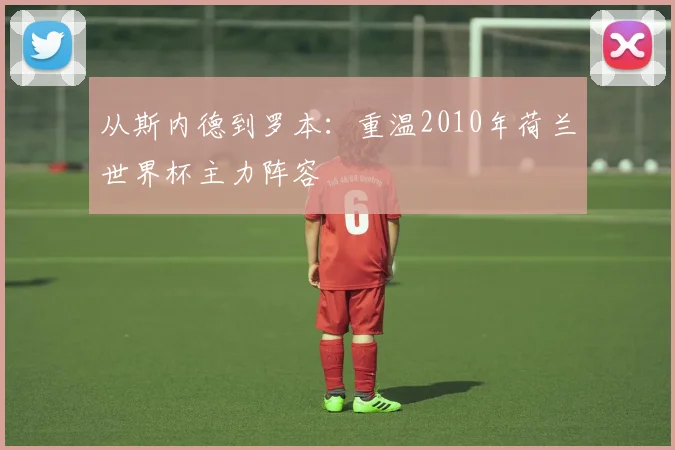 从斯内德到罗本：重温2010年荷兰世界杯主力阵容